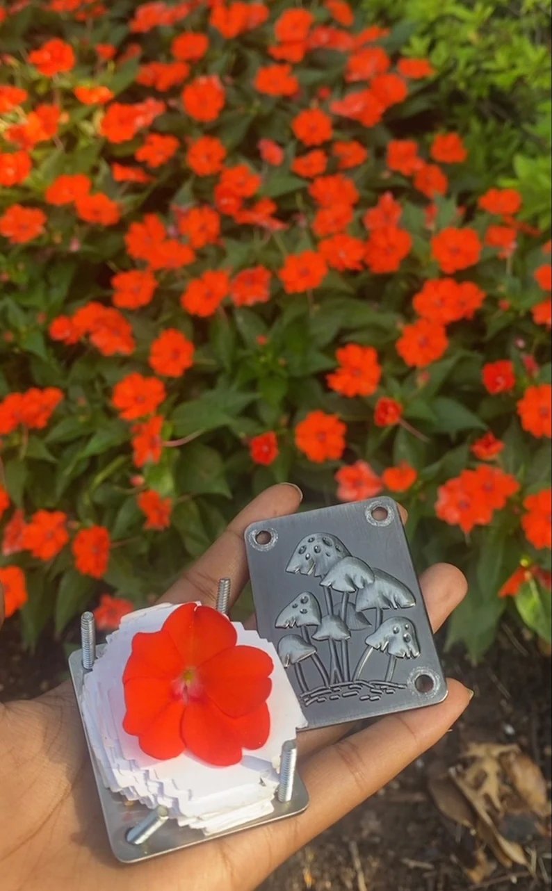 Mini Bloemenpers Compacte Botanische Droogpers Draagbare Herbarium Pers Natuurlijke Bladeren Bewaren