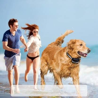 Trainingshalsband voor Honden met Afstandsbediening 1000m Bereik Oplaadbaar Waterdicht IP67 Verstelbaar 20-65cm Trillingen Geluid Stimulatie 9 Intensiteitsniveaus Geschikt 5-50kg