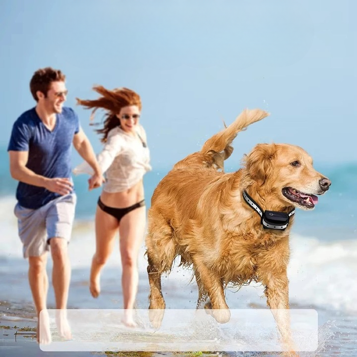 Trainingshalsband Hond 1000m Bereik 3 Modi Oplaadbaar Waterdicht IP67 voor Honden 5-50kg