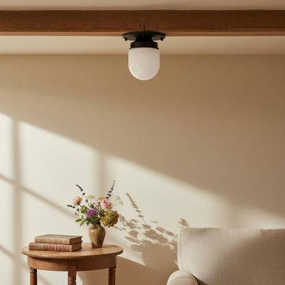 Opaal Glazen Wandlamp & Plafondlamp Dubbelfunctie Modern Design Messing