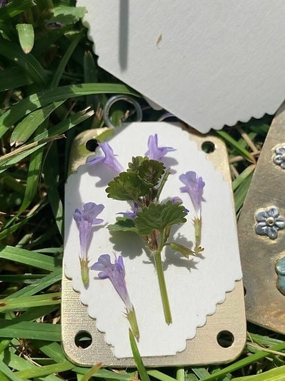 Mini Bloempers Compacte Botanische Herbarium Pers Draagbaar Bloemen Drogen Handwerk Tool Bladeren Persen Natuurbewaartool