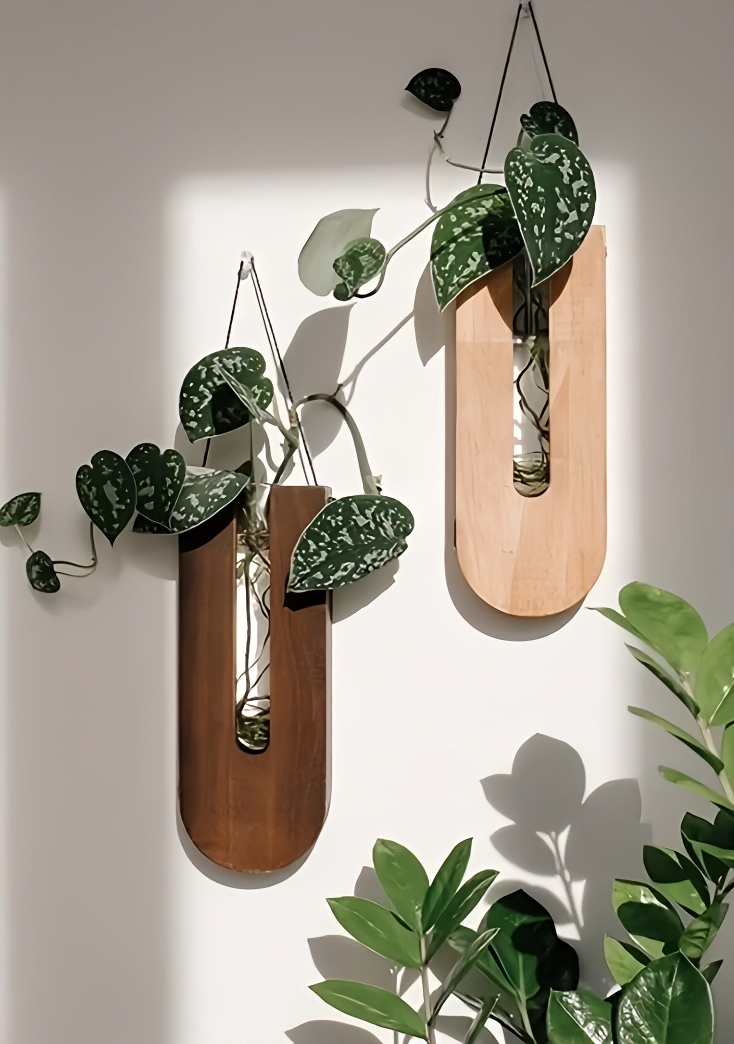 Houten Wand Bloemenhouders Set 7 Delig Pijnhout Verticale Plantenhouder