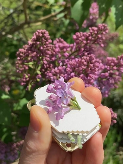 Mini Bloempers Compacte Botanische Herbarium Pers Draagbaar Bloemen Drogen Handwerk Tool Bladeren Persen Natuurbewaartool