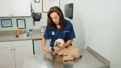 Nagelknipper voor Honden met Geïntegreerde Sensorbeveiliging | Premium RVS Nageltrimmer met Ergonomisch Handvat | Pijnloos Klauwverzorging voor Grote en Kleine Honden | Veilige Nagelschaar Huisdieren