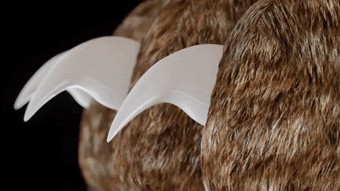 Nagelknipper voor Honden met Geïntegreerde Sensorbeveiliging | Premium RVS Nageltrimmer met Ergonomisch Handvat | Pijnloos Klauwverzorging voor Grote en Kleine Honden | Veilige Nagelschaar Huisdieren