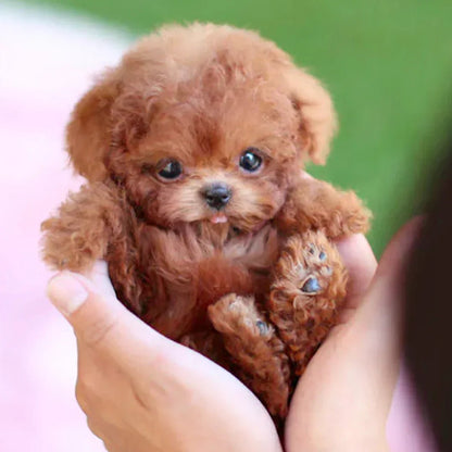 Robotpuppy Interactief Batterij Zachte Vacht Knuffeldier Kinderen Senioren Levensechte Puppy Gezelschapsspeelgoed