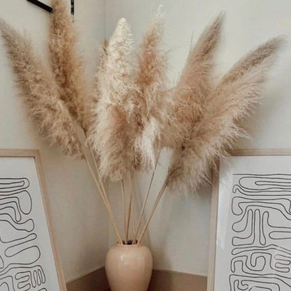 Gedroogde Pampagras Pluimen 10-Delige Set Natuurlijk Decoratief Siergras