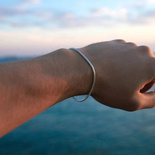 Minimalistisch Slangarmband Edelstaal Dames Sierlijk Verstelbaar Goud Zilver Rosé