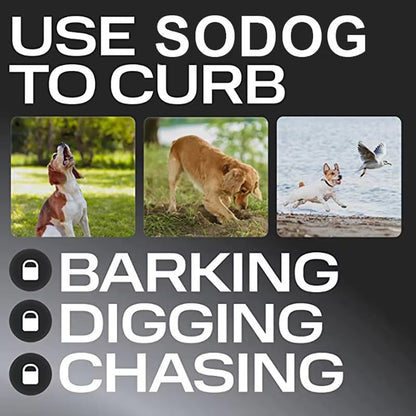 Ultrasoon Trainingsapparaat voor Honden Oplaadbaar | Compact en Draagbaar voor Dagelijks Gebruik Onderweg | Handsfree Hondentraining met Onhoorbare Hoogfrequente Signalen | USB Oplaadbaar