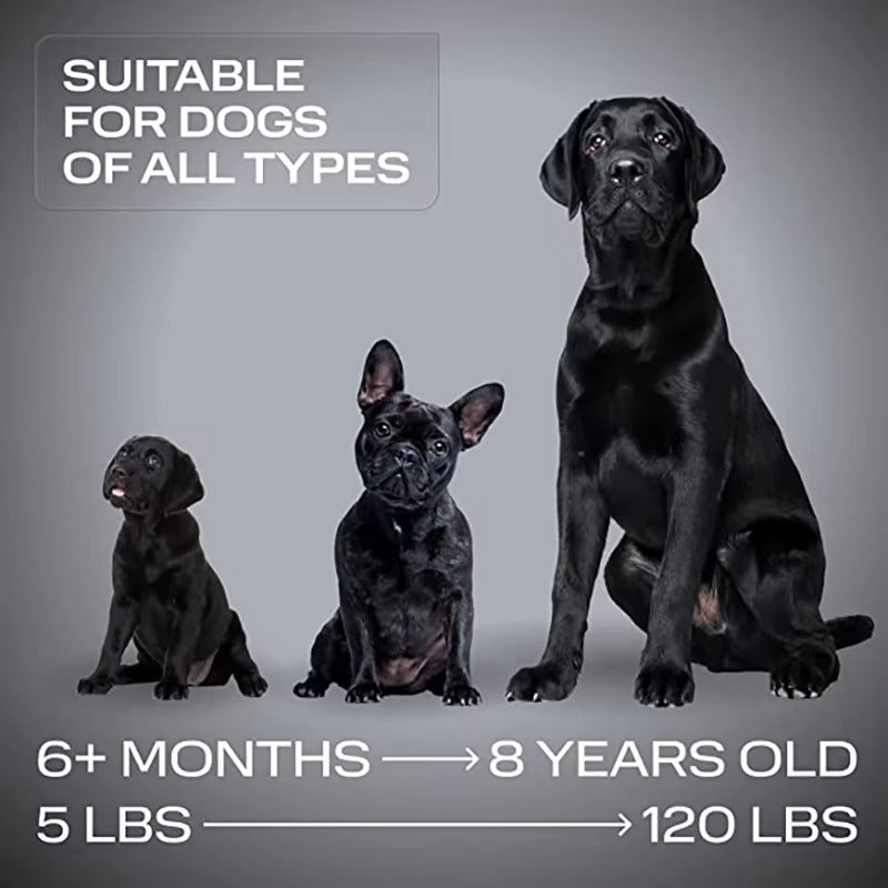 Ultrasoon Trainingsapparaat voor Honden Oplaadbaar | Compact en Draagbaar voor Dagelijks Gebruik Onderweg | Handsfree Hondentraining met Onhoorbare Hoogfrequente Signalen | USB Oplaadbaar