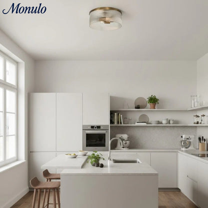 Geribbelde Glazen Plafondlamp Modern Laagbouw Ontwerp Slaapkamer Woonkamer Gang