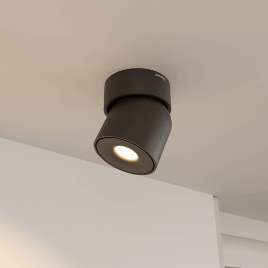 Verstelbare plafondlamp met draaibare lichtkop en warm 2700k licht