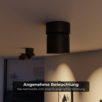 Verstelbare plafondlamp met draaibare lichtkop en warm 2700k licht