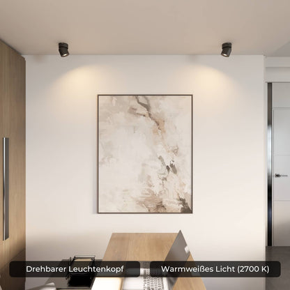 Verstelbare plafondlamp met draaibare lichtkop en warm 2700k licht