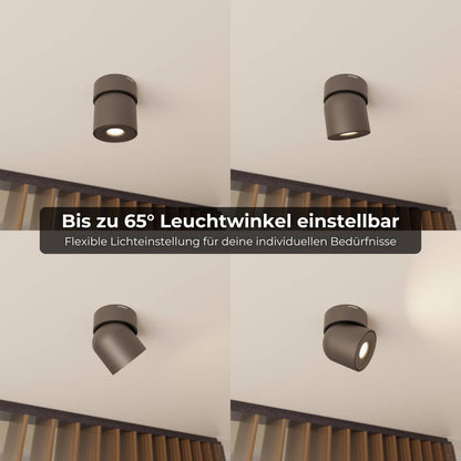Verstelbare plafondlamp met draaibare lichtkop en warm 2700k licht