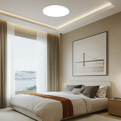 Ronde Plafondlamp Vlak Design LED Acryl Zwart Wit Goud Zilver Moderne Plafondverlichting Energiebesparend Woonkamer Slaapkamer