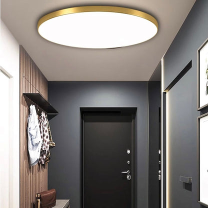 Ronde Plafondlamp Vlak Design LED Acryl Zwart Wit Goud Zilver Moderne Plafondverlichting Energiebesparend Woonkamer Slaapkamer
