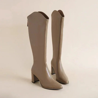 Elegante Lage Hak Laarzen met Puntneus
