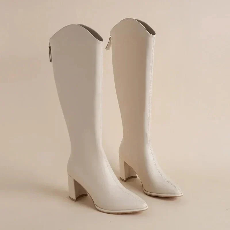 Elegante Lage Hak Laarzen met Puntneus