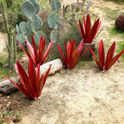 Metalen Agave Tuindecoratie met Grondpin Weerbestendig Tuinornament voor Terras Tuin en Entree Robuuste Buitendecoratie Diverse Kleuren en Maten