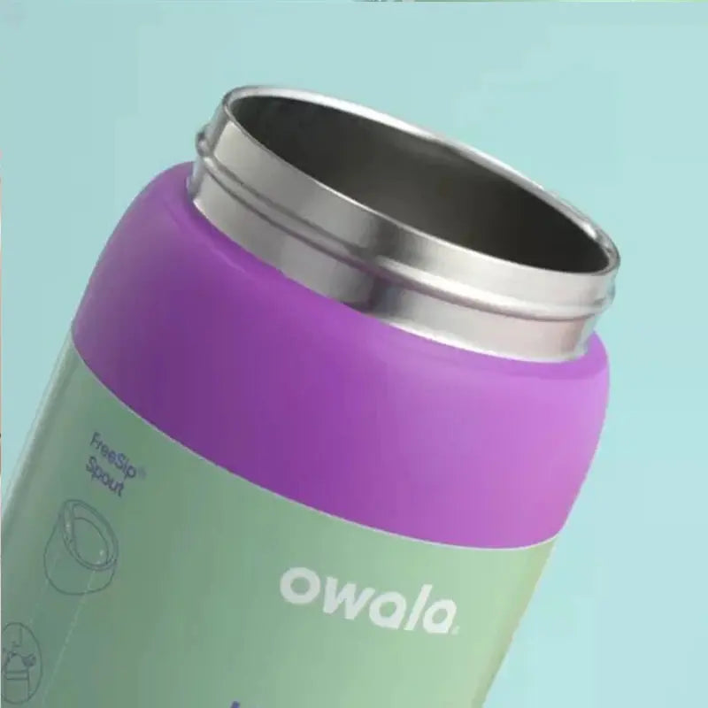 RVS Drinkfles 710ml met Geïntegreerd Rietje Handvat Dubbelwandige Isolatie 24u Koud BPA-Vrij Sport Reizen