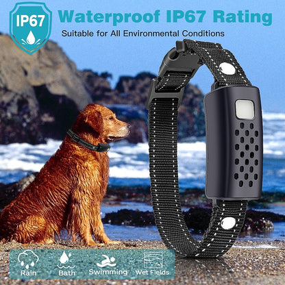 Hondentrainingsband op Afstand met 2000 Meter Bereik Zwart Waterdicht 3 Modi Voor 2 Honden