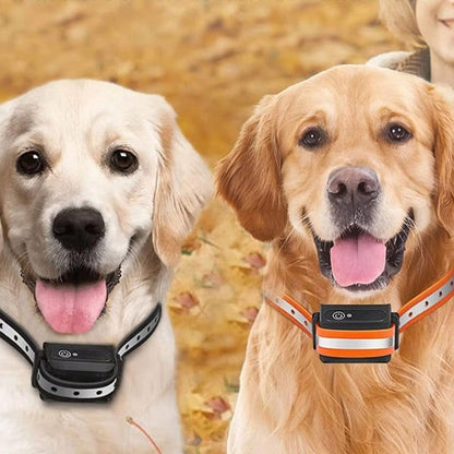 Trainingshalsband voor Honden met Afstandsbediening 1000m Bereik Oplaadbaar Waterdicht IP67 Verstelbaar 20-65cm Trillingen Geluid Stimulatie 9 Intensiteitsniveaus Geschikt 5-50kg