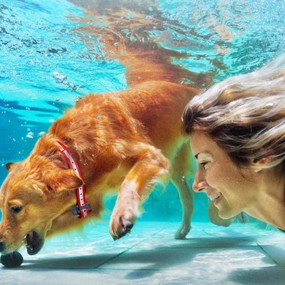 Trainingshalsband voor Honden met Afstandsbediening 1000m Bereik Oplaadbaar Waterdicht IP67 Verstelbaar 20-65cm Trillingen Geluid Stimulatie 9 Intensiteitsniveaus Geschikt 5-50kg