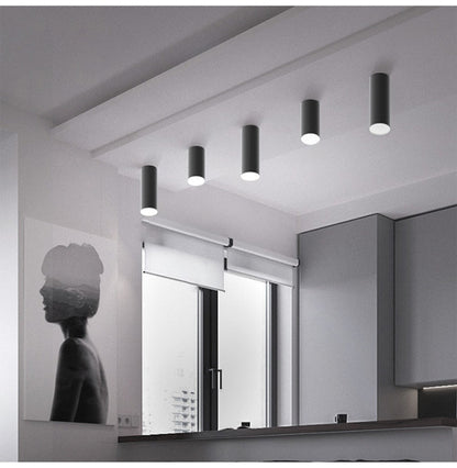 Opbouw LED COB Downlight Plafondlamp 75MM–400MM Modern Design Voor Woonkamer En Keuken 110V/220V