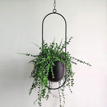 Wandplantenhouder met Minimalistisch IJzeren Frame voor Hangplanten