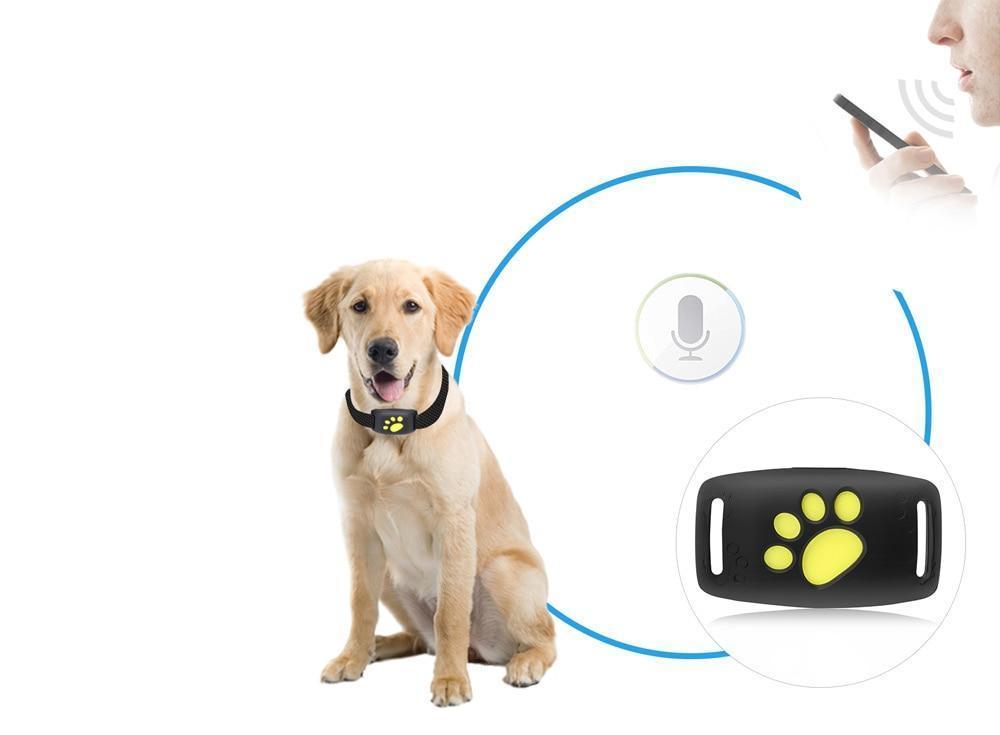 GPS Tracker Kat Realtime Locatie Smartphone Compact 2x2cm Geen Abonnement