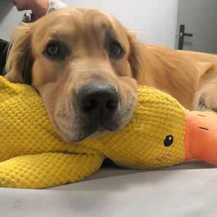 Hondenspeelgoed Eend Kwakgeluid Bijtspeelgoed Touwtrekken Stressverlichting Hond