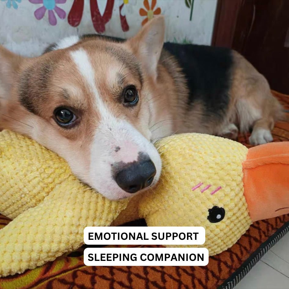 Hondenspeelgoed Eend Kwakgeluid Bijtspeelgoed Touwtrekken Stressverlichting Hond