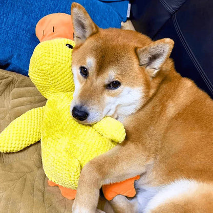 Hondenspeelgoed Eend Kwakgeluid Bijtspeelgoed Touwtrekken Stressverlichting Hond