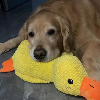 Hondenspeelgoed Eend Kwakgeluid Bijtspeelgoed Touwtrekken Stressverlichting Hond
