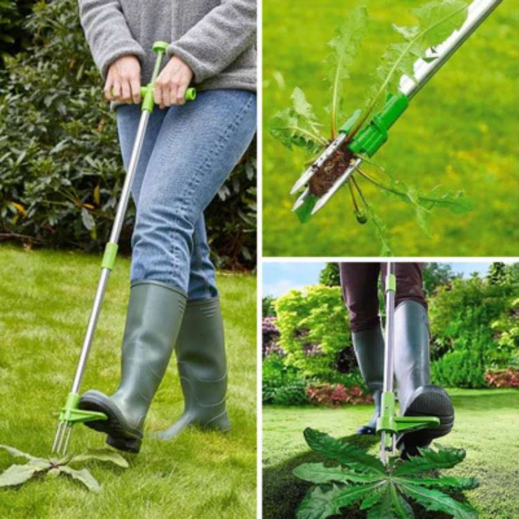 Onkruidverwijderaar Staand RVS Tuin Wortelverwijderaar Handmatig Onkruidtrekker Onkruidsteker Tuingereedschap Ergonomisch