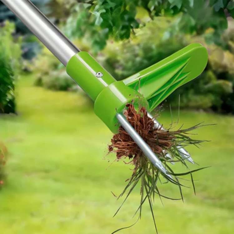 Onkruidverwijderaar Staand RVS Tuin Wortelverwijderaar Handmatig Onkruidtrekker Onkruidsteker Tuingereedschap Ergonomisch