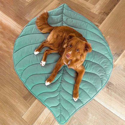 Bladmotief Hondenplaid 120×110 cm Anthurium Roze – Zachte Dierendeken Beschermhoes voor Bank en Zetel