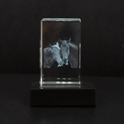 Gepersonaliseerd 2D/3D Kristal Gedenkkristal met Eigen Foto – Verlicht Herinneringsblok met Houten Voet