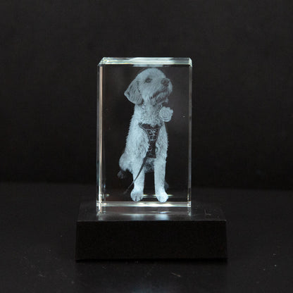 Gepersonaliseerd 2D/3D Kristal Gedenkkristal met Eigen Foto – Verlicht Herinneringsblok met Houten Voet