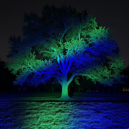 Buitenspot RGB LED 50W Zwart Tuin Gevel Boom Verlichting IP65 Kleurveranderend Schijnwerper Landscape Spotlight Afstandsbediening Buiten