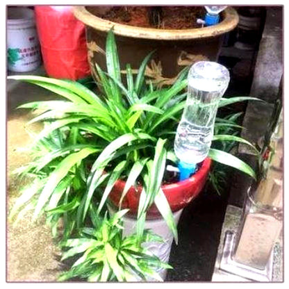 Zelfdrenker Set 12 Stuks Verstelbaar Automatisch Watergeefsysteem Plantenwaterpunten Driptuit Tuin Balkon