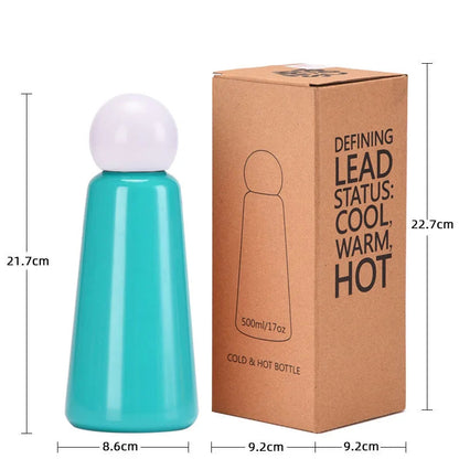 Thermoskan 500ml Dubbelwandig Vacuüm RVS 12u Warm 24u Koud Lekvrij Isolatiefles Drinkfles Waterfles Thermosfles