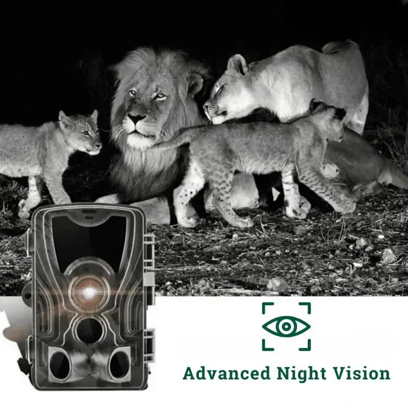 Wildcamera met Bewegingssensor & Nachtzicht | Trail Camera voor Natuur, Tuin & Beveiliging